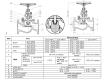 ZV890 Zaporni ventil - Globe Valve - Absperrventil