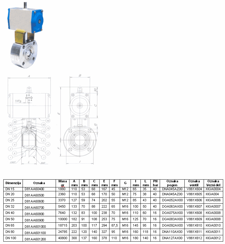 D81AA Krogelna pipa z dvostranskim pnevmatskim pogonom